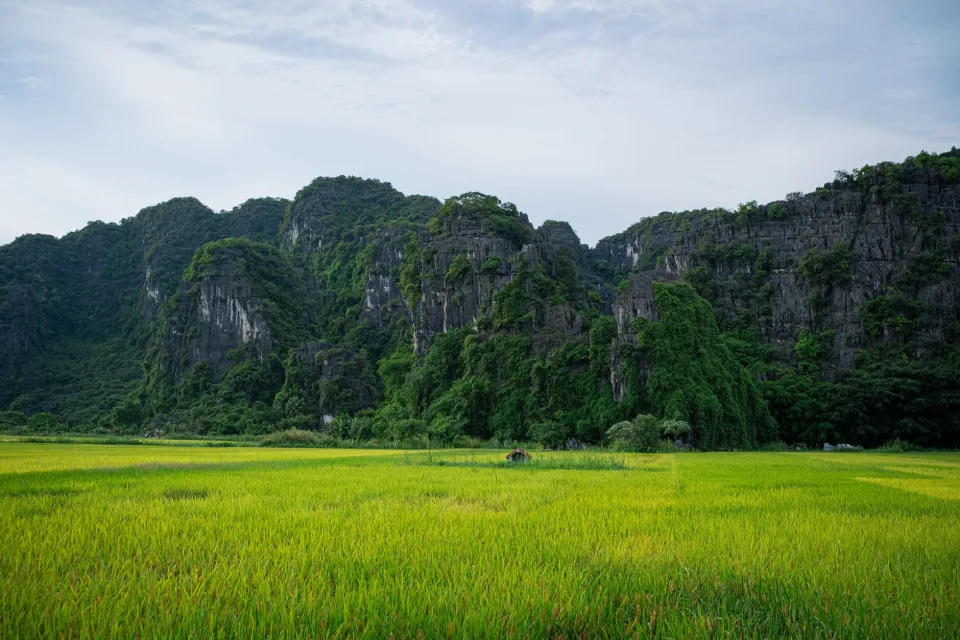 Cân và đóng bao