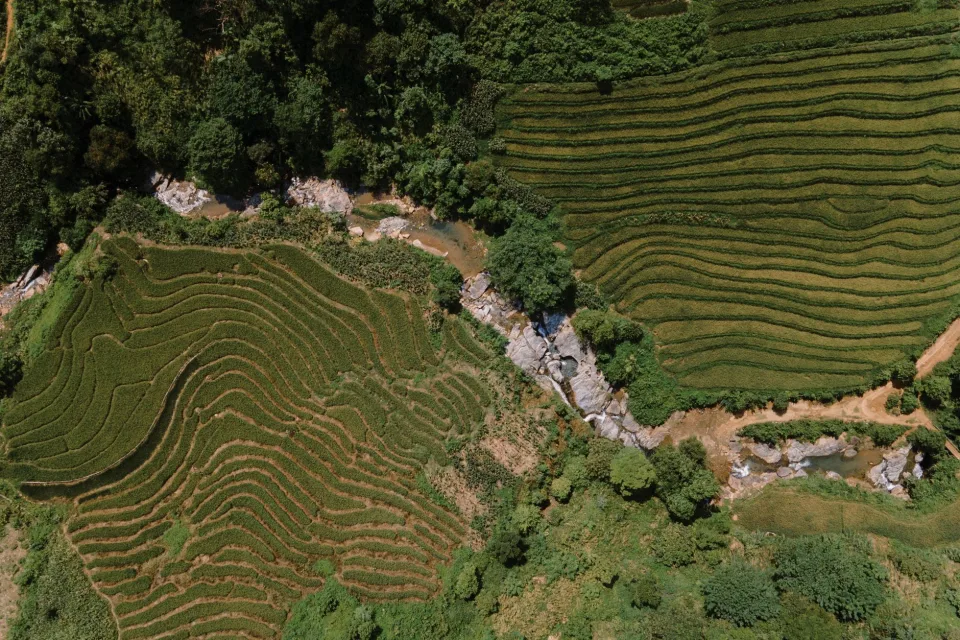 Kho gạo của Đỗ Hoàng Nhật
